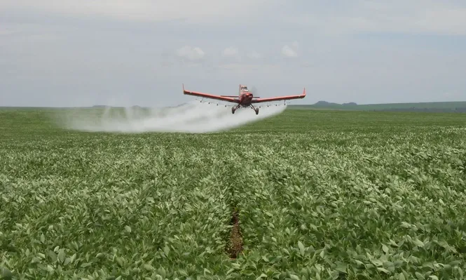 Microorganismos, ¿la próxima revolución verde?