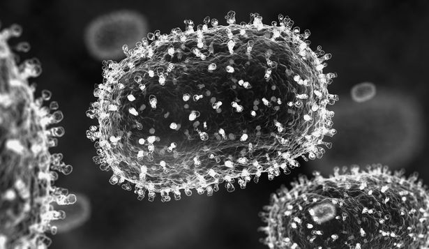Así es el virus que causa la mpox visto en el microscopio.