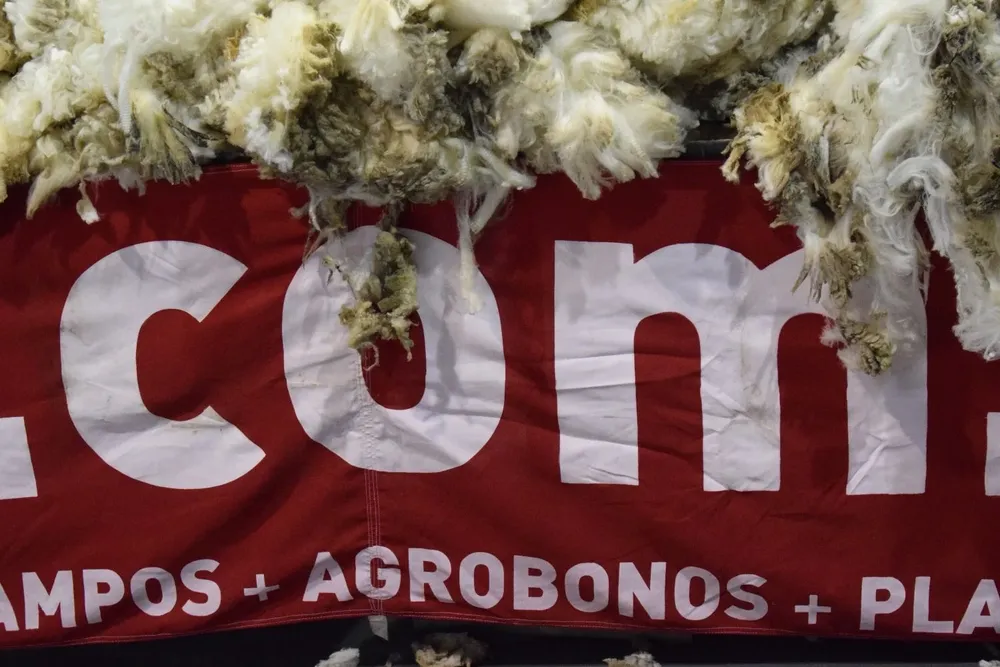 Demanda y precio, con recuperaciones pendientes.