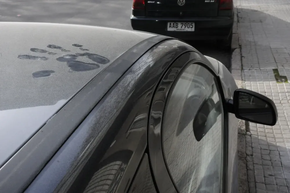 Las cenizas chiles siguen marcando presencia