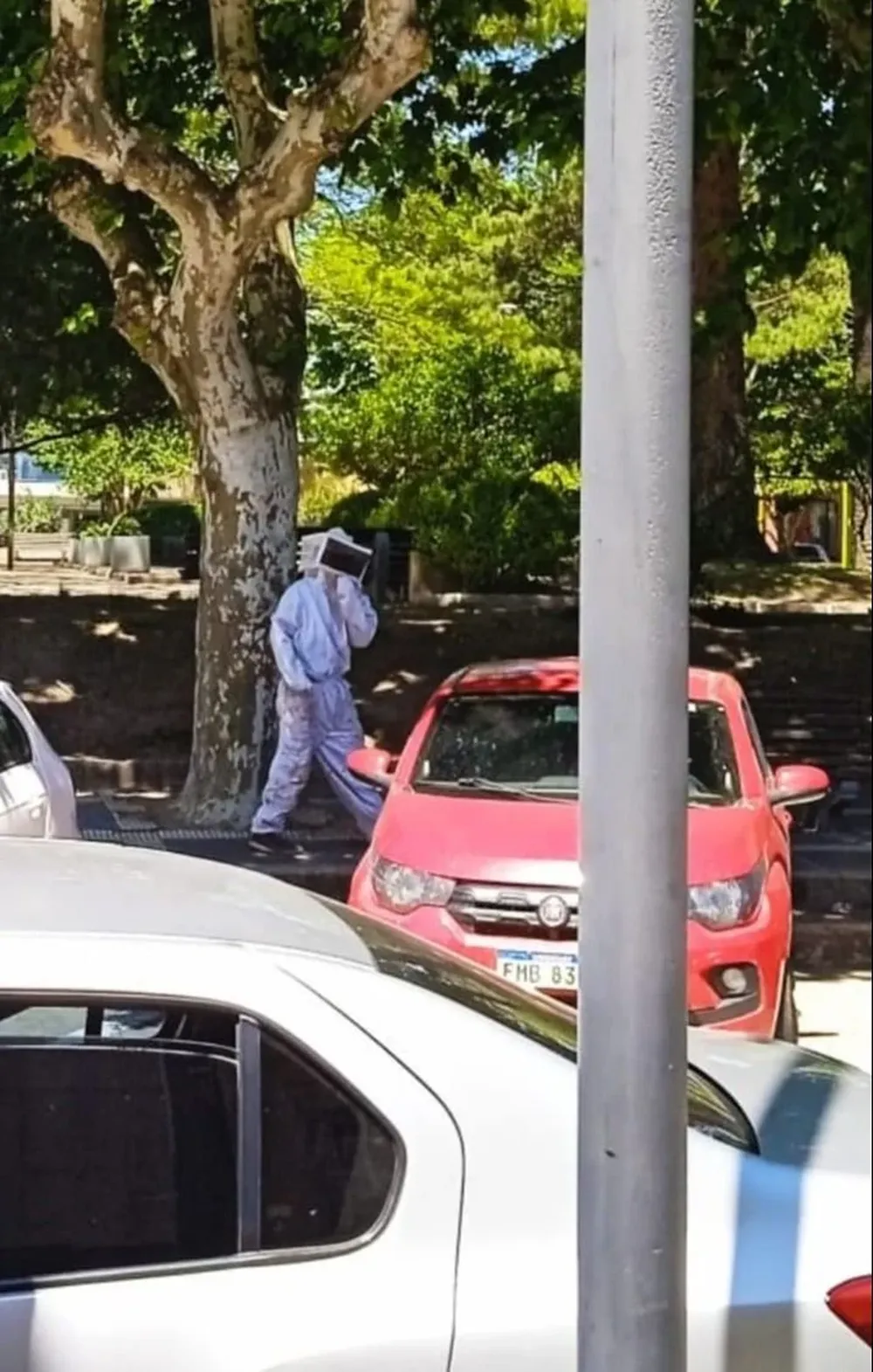 Uno de los especialistas que trabajó en el lugar