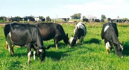 El Observador | 0001802819.webp