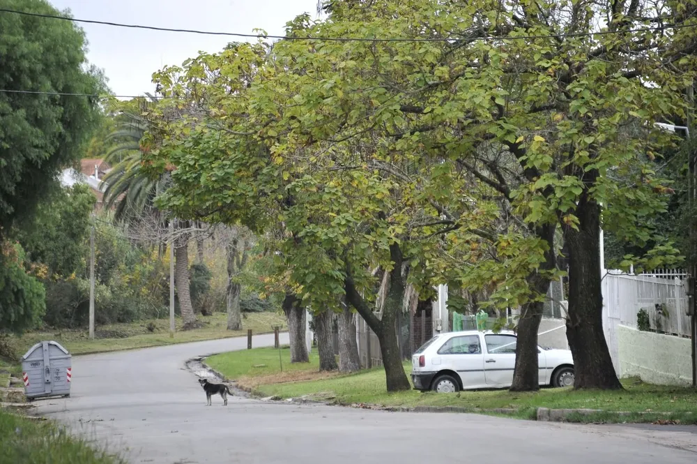 El episodio ocurrió el sábado por la noche