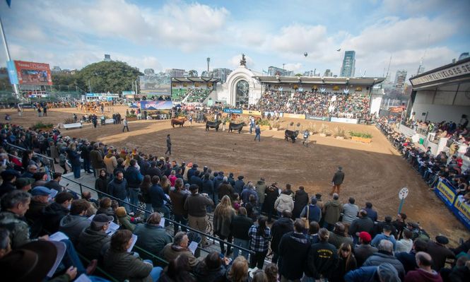 Argentina y una tradición, la exposición ganadera en Palermo, en Buenos Aires.
