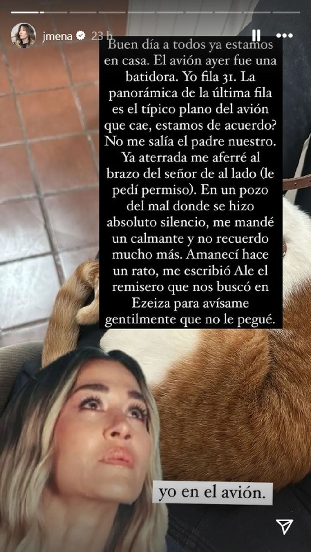 jimena baron avionposteo.jpg