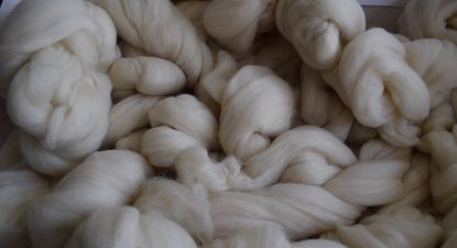 Rubro ovino: más ingresos por colocaciones externas de lanas.