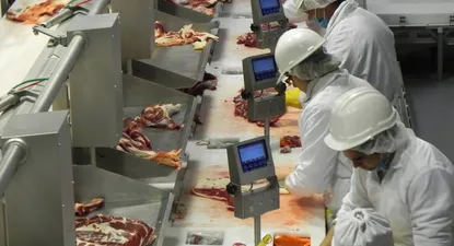 Exportadores destacan repunte de ventas, pero advierten por dificultades para competir