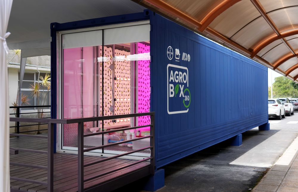 Agricultura urbana: IICA destaca que puede aportar soluciones para la seguridad alimentaria y nutricional en las Américas. &nbsp;