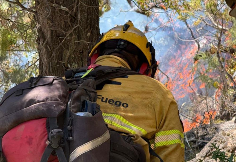 En medio de los incendios que sufre la Patagonia, se pone especial atención a las inversiones en ambiente y el servicio de manejo del fuego.