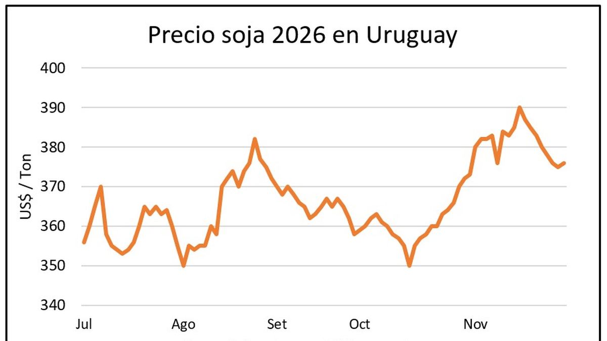 Ligero repunte para los granos en plena cosecha de invierno y con gran parte de la soja instalada
