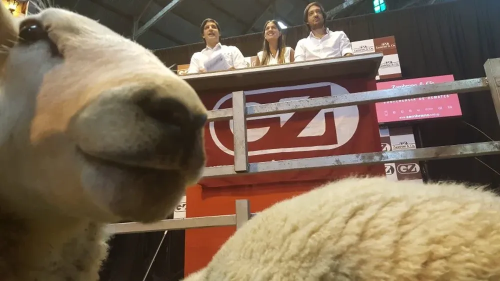 Alejandro, María y Agustín Zambrano en la conferencia de presentación de remates de la zafra de ovinos