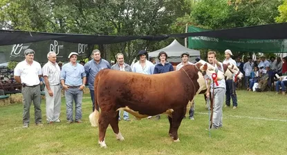 El Observador | 0015464248.webp