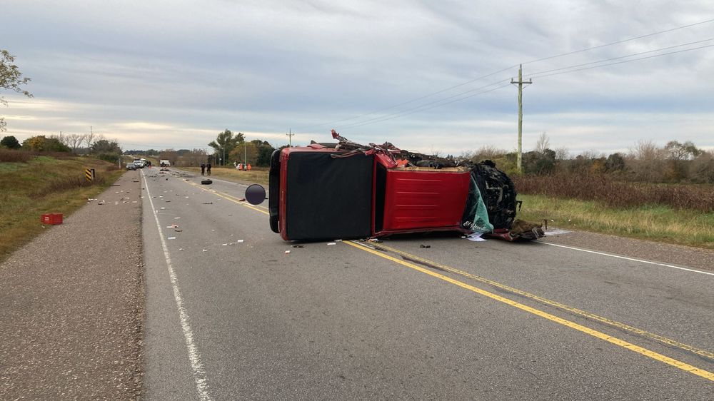 WhatsApp Image 2024-06-04 at 09.38.42.jpeg