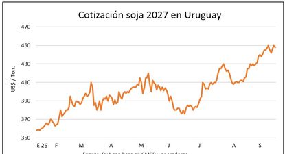 Granos: la tendencia en soja del futuro.