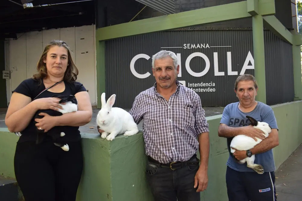 Conejos en la Semana Criolla, uno de los atractivos en el predio de exposiciones.