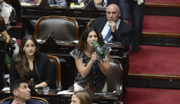 La diputada Marcela Pagano presentó un proyecto para controlar todo acuerdo financiero que el país realice con un organismo internacional.