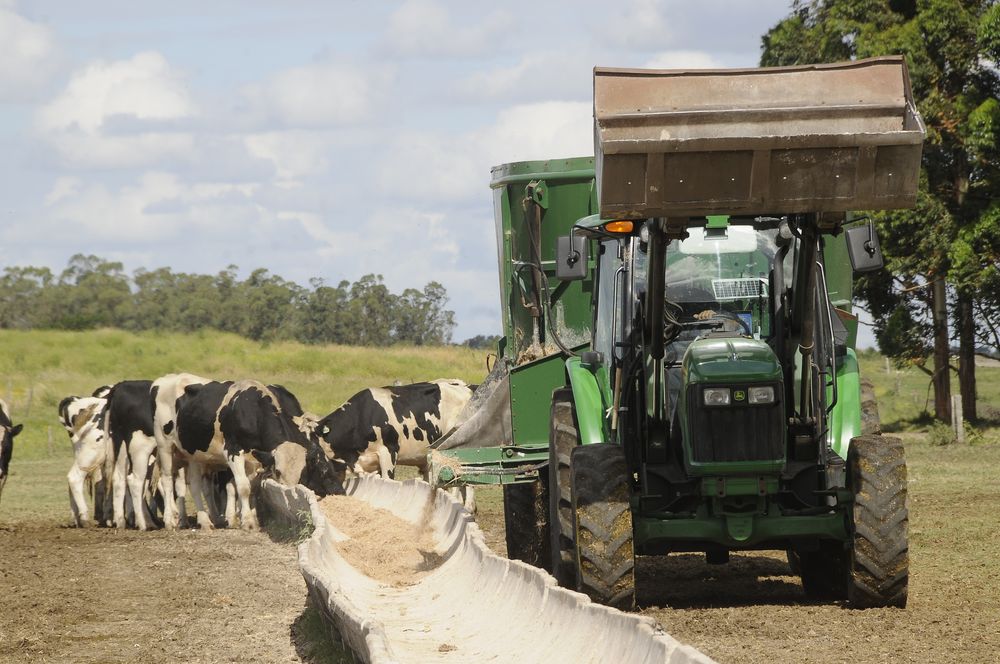 Tamberos: varios temas tienen activos a los directivos de las gremiales lecheras.