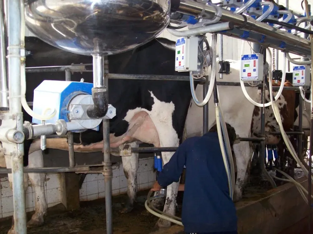 Considerando las adversidades climáticas y otras la caída no es relevante.