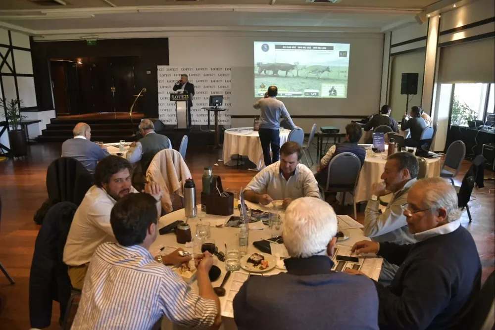 El próximo remate de Lote 21 será el 14 de diciembre.