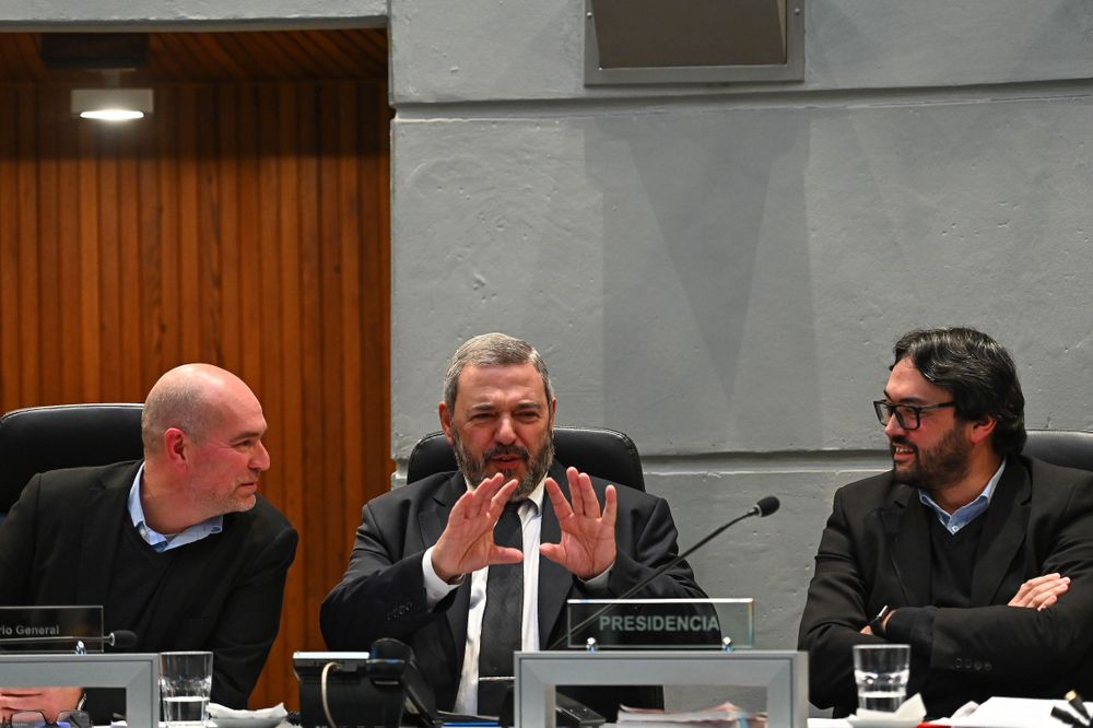 Bergara en la Junta Departamental