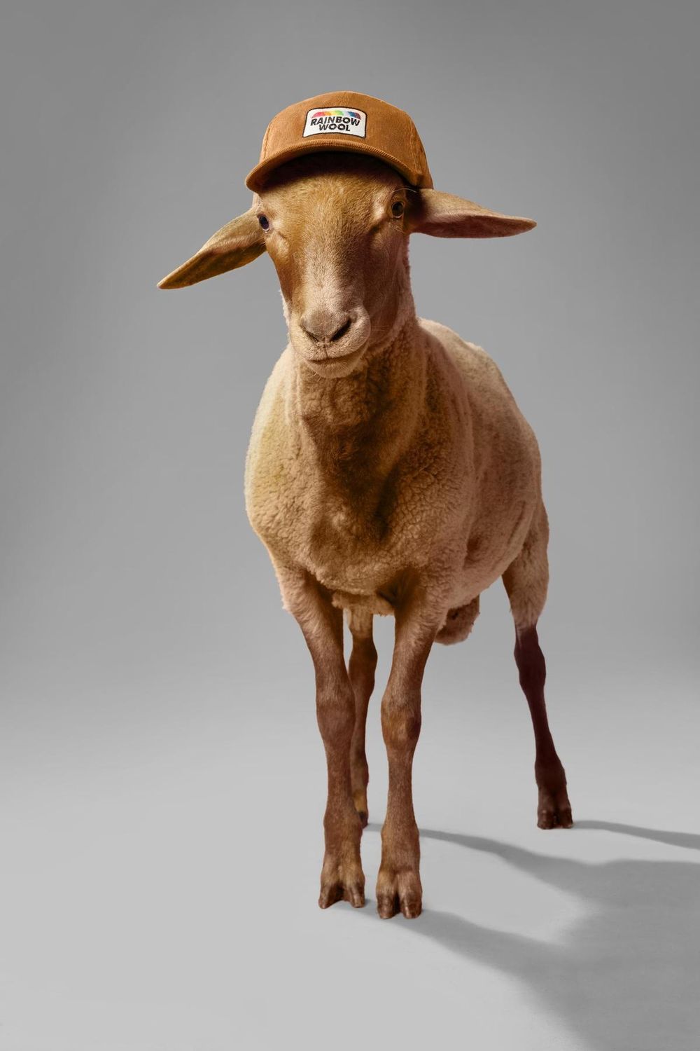 innovadora propuesta de la marca  Rainbow Wool en el mundo de la moda.