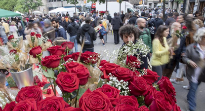 esperan este ano mas ventas de rosas en la festividad de sant jordi: la tradicion se expande a alemania y japon