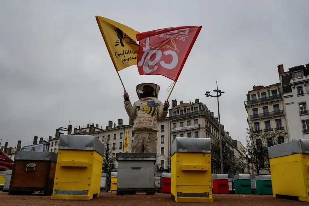 Manifestación en la Plaza Bellecour en Lyon del lunes 5 de febrero.