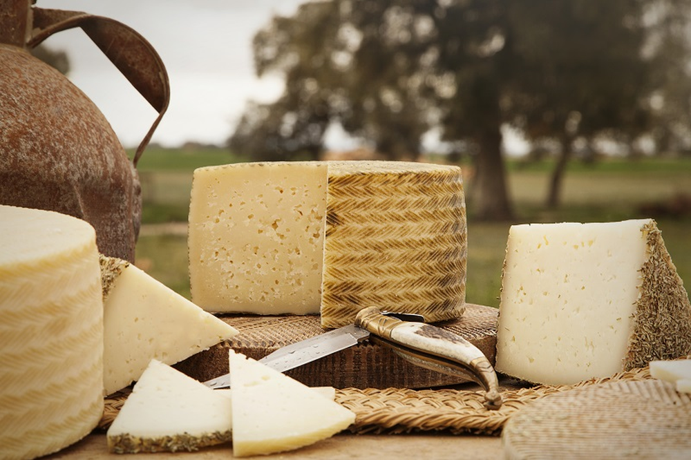 El queso manchego, símbolo de la gastronomía española en el mundo.
