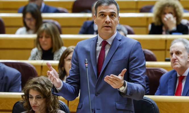Pedro Sánchez comparece en el Senado