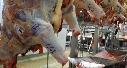 El Observador | 0003408262.webp