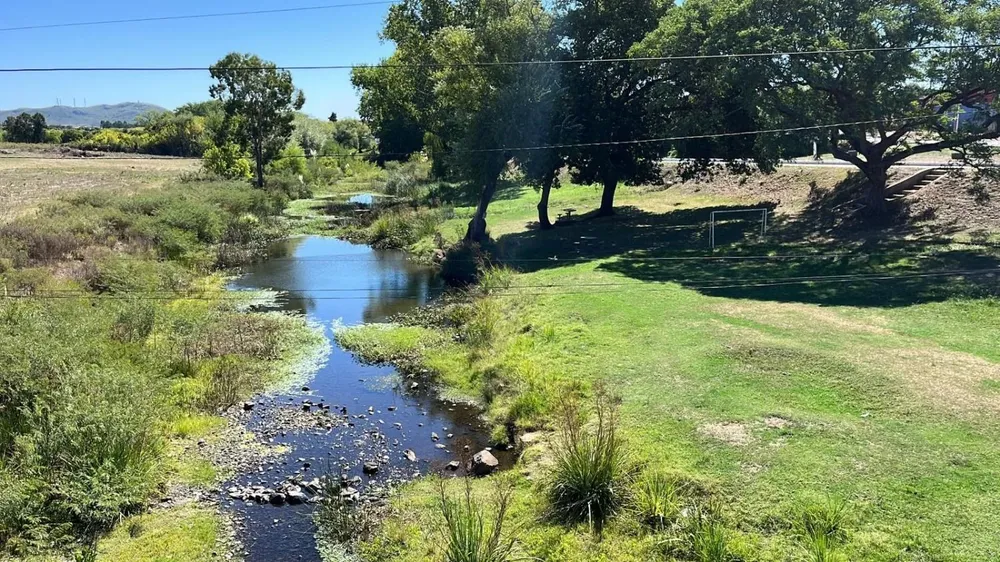 Así se veía hoy el arroyo San Francisco