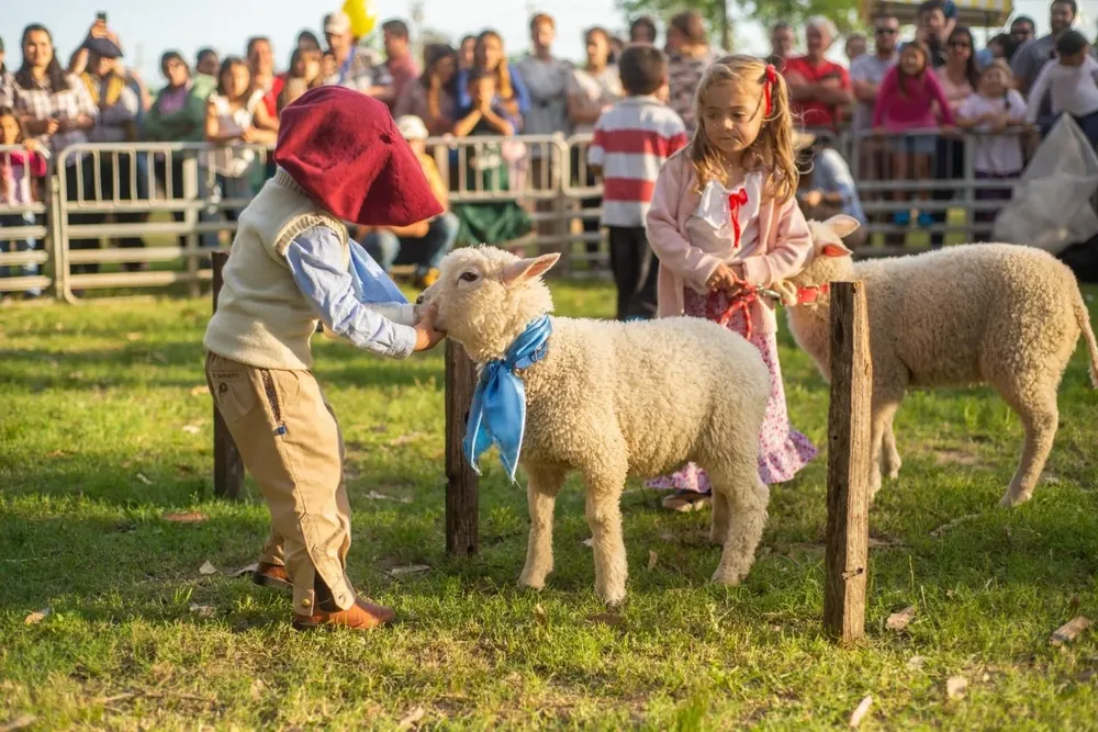 Concurso de cordero guacho.