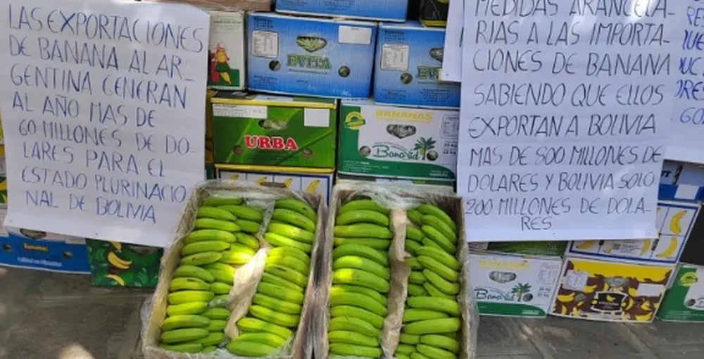 Decenas de familias dependen del rubro pueden quedarse sin fuentes de ingresos económicos