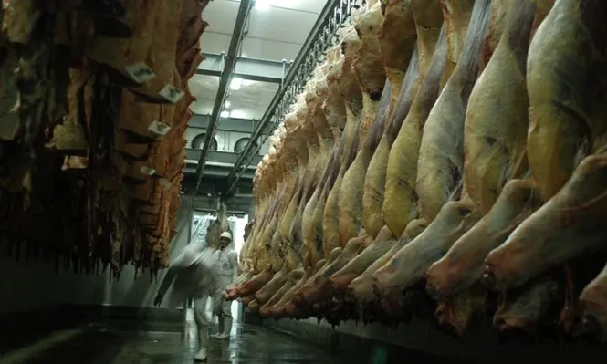 La caída del stock vacuno en EEUU abre una oportunidad a la carne uruguaya