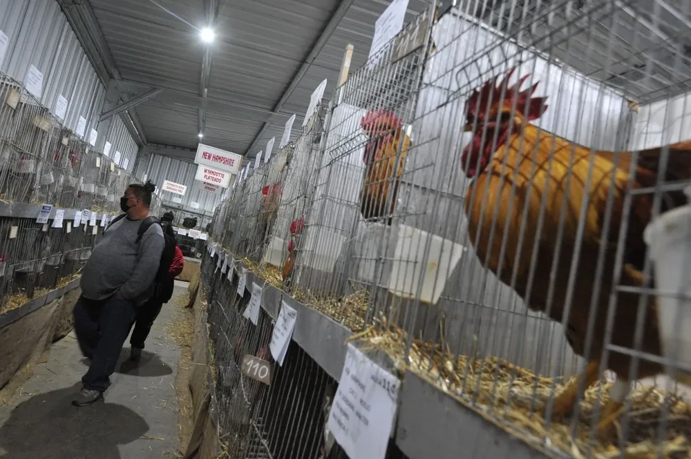 Exposición de aves en la Rural del Prado.