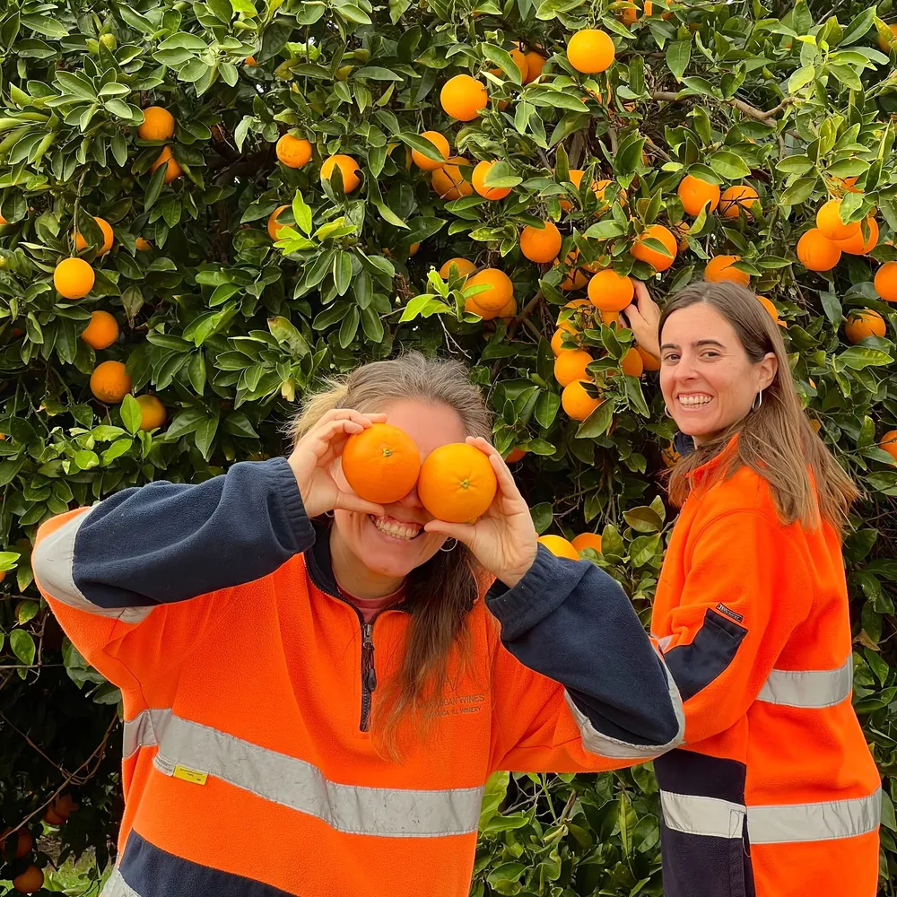 Ania y Fiorella trabajan actualmente en la zafra de citrus en Mildura.