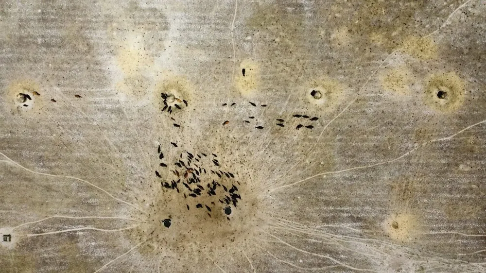 Expertos coincidieron en que los sistemas ganaderos que logran los mejores resultados son los que están más planificados.