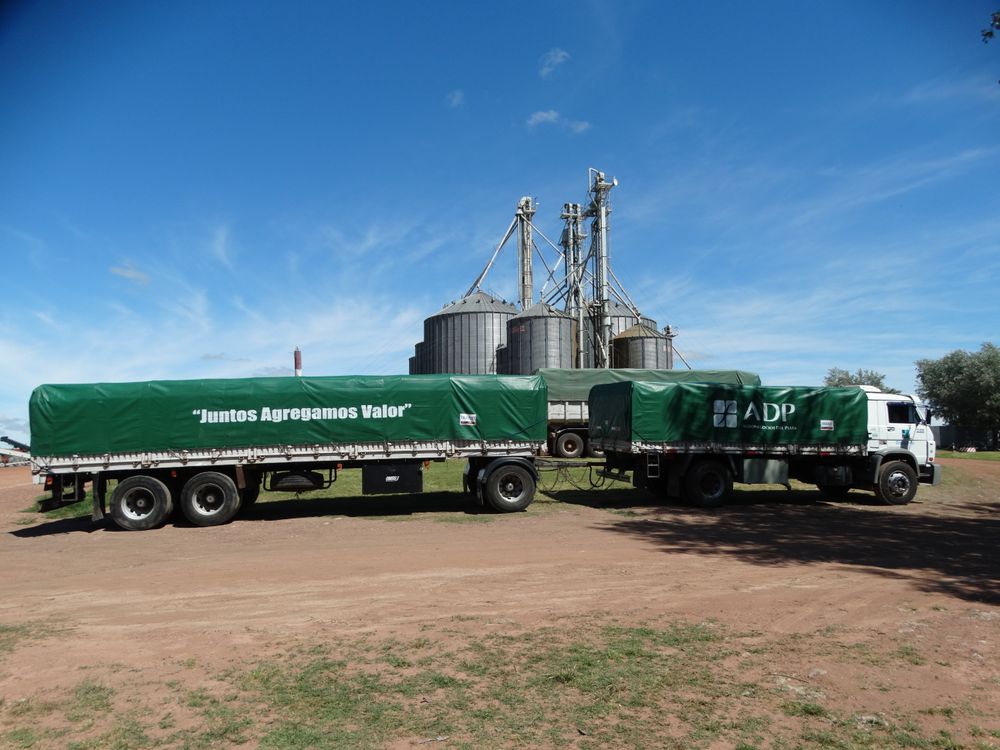 Soja y maíz: con los pies en las chacras y mucha información novedosa a mano, pasó otra ADP VISION.