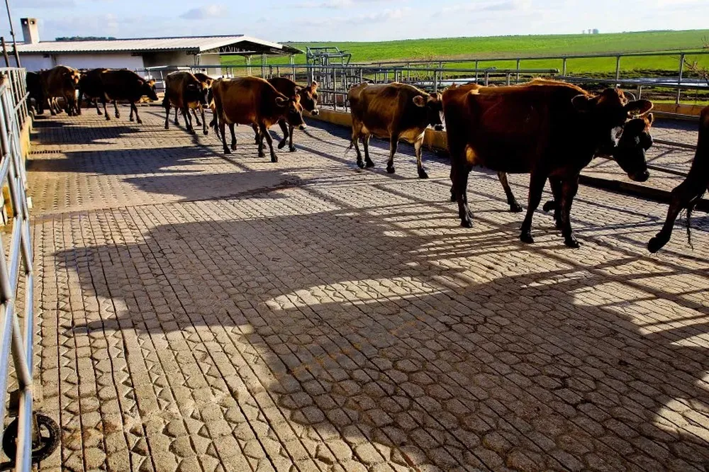 En julio bajó un 2% el poder de compra en relación a junio pasado