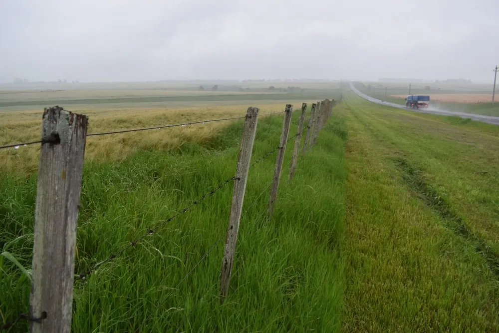 En Rivera y el noreste de Tacuarembó las lluvias fueron bastante favorables