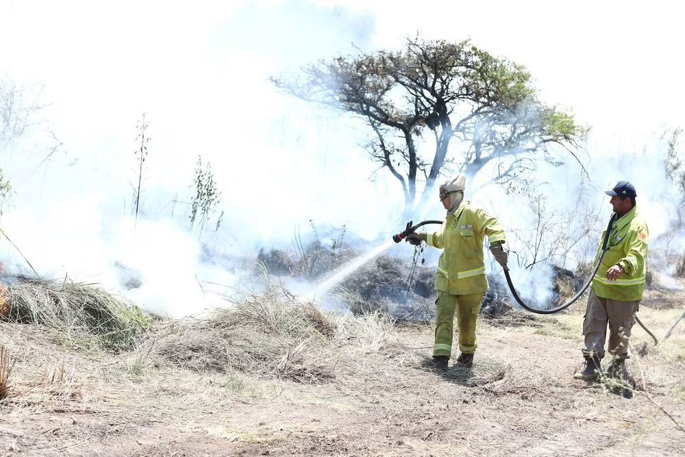 incendios co.jfif