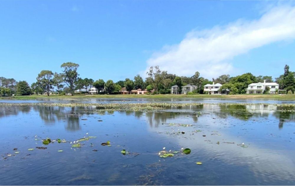 Laguna Blanca de Maldonado