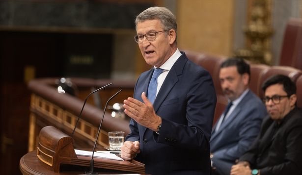 El presidente del Partido Popular, Alberto Núñez Feijóo, interviene durante una sesión extraordinaria en el Congreso de los Diputados.