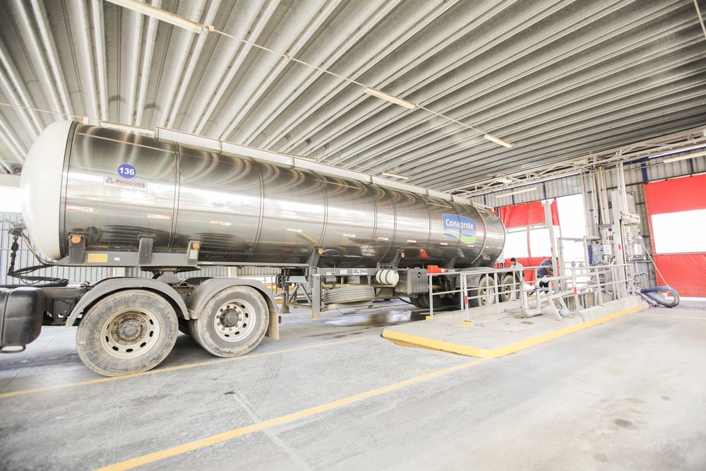 MGAP informó los datos de una encuesta sobre la industria del sector lácteo.