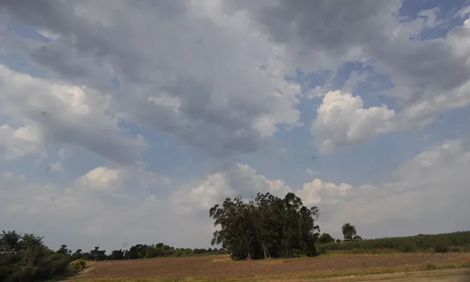 Durante la mañana el cielo estará algo nuboso y nuboso
