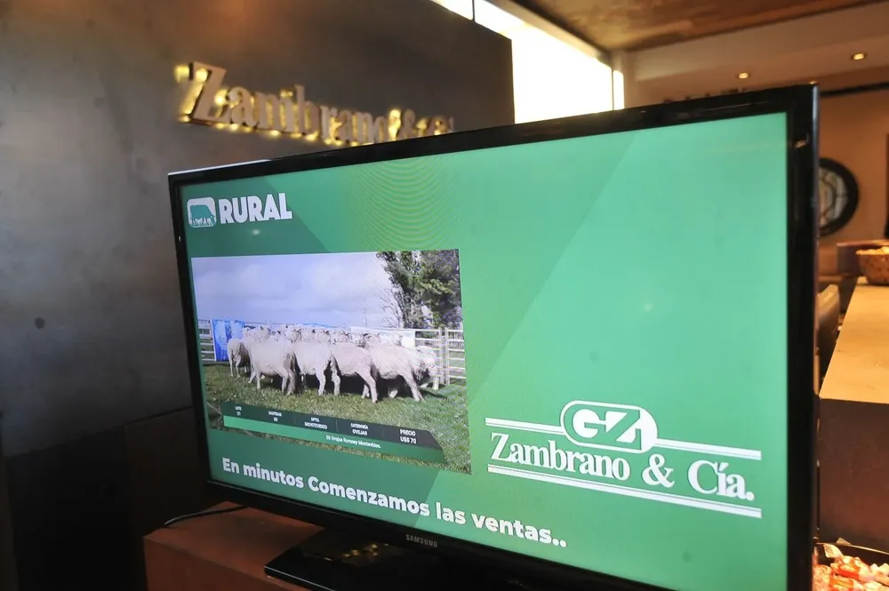 Jornada de ventas ovinas en Zambrano & Cía