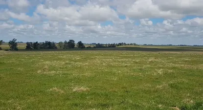 Emergencia agropecuaria: mipymes del sector podrán acceder a bonificación del SiGa