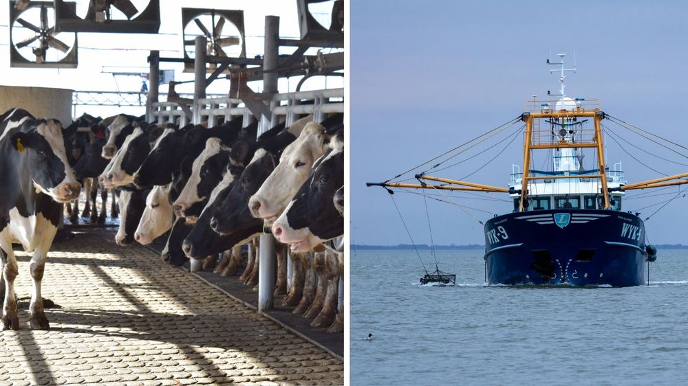 ARU emitió un comunicado en el que reflexionó sobre los conflictos en la pesca y la lechería.