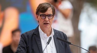 Brote de peste porcina africana: Cataluña ordena auditoría a los laboratorios y eleva a 80.000 los cerdos a sacrificar