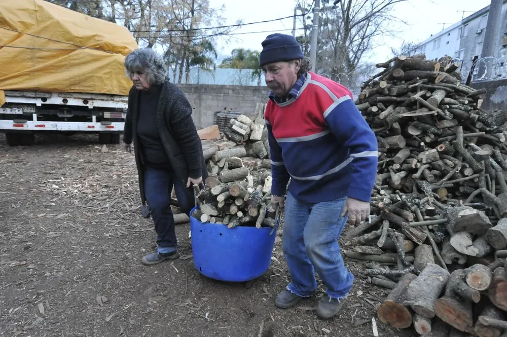 Los 1.000 kilos de astilla y rolo de eucalipto rojo cuestan entre $ 7.900 y $ 8.500.